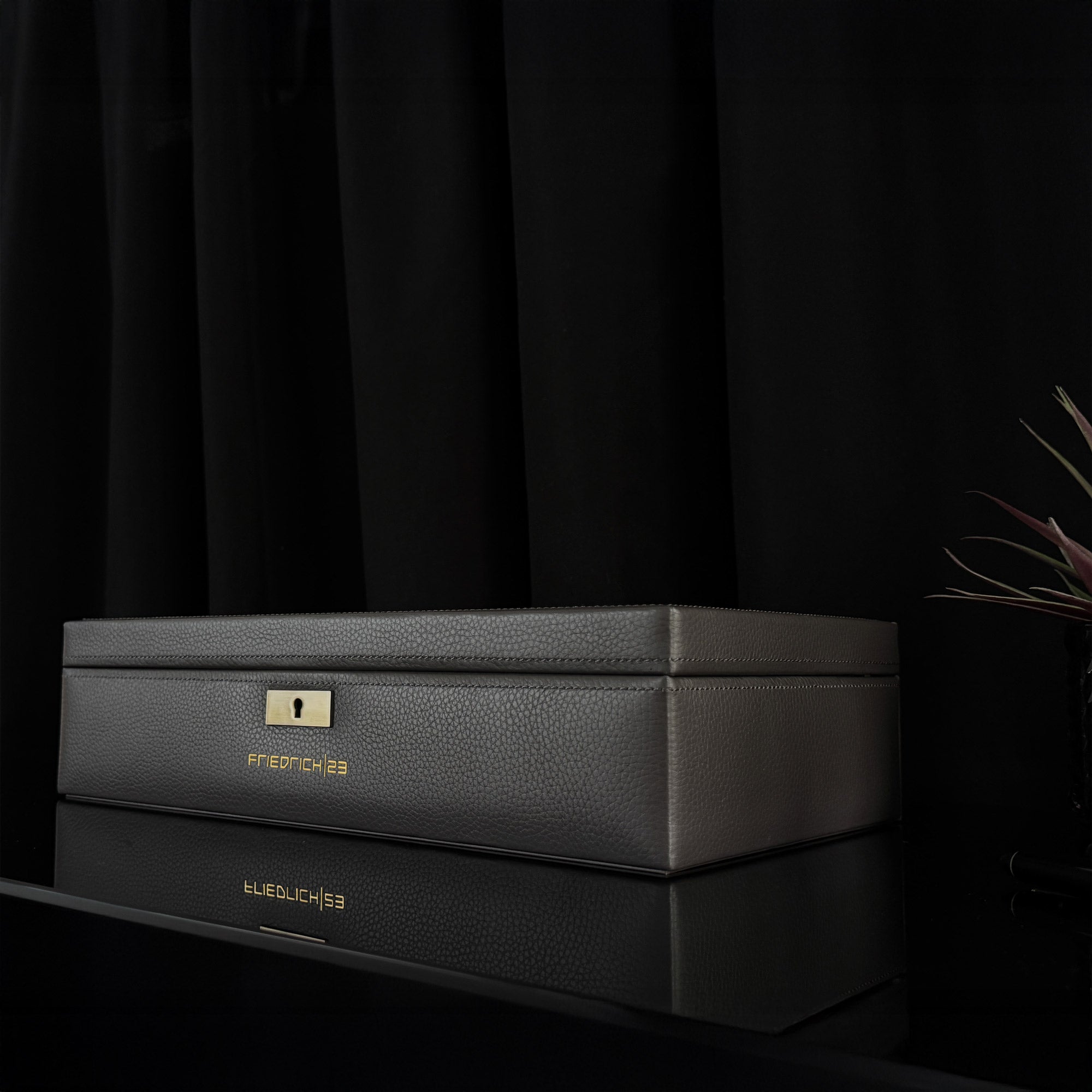 DYNASTY Uhrenbox für 8 Uhren aus Leder mit Glas